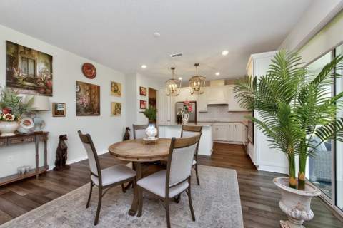 12908 Brookside Moss Drive, Riverview FL - photo 9 of 54