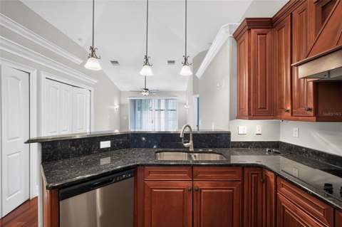 13548 Mere View Drive, Odessa FL - photo 7 of 37