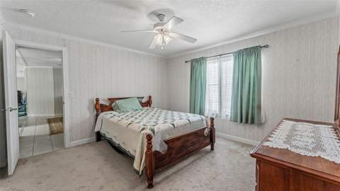 6250 Green Pond Road, Polk City FL - photo 15 of 47