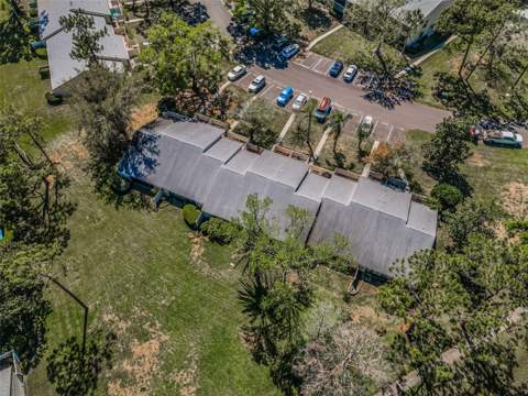 1333 Shady Pine Way #F, Tarpon Springs FL - photo 23 of 43