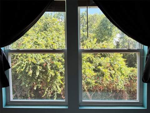 4581 Sparkling Shell Ave, Kissimmee FL - photo 21 of 41