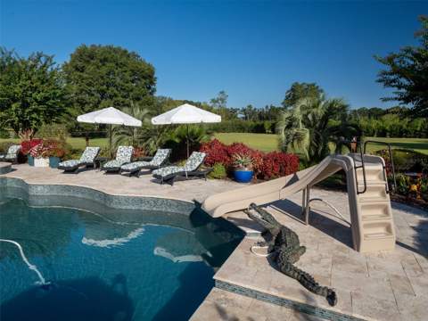 15122 NW 41st Avenue, Newberry FL - photo 14 of 58