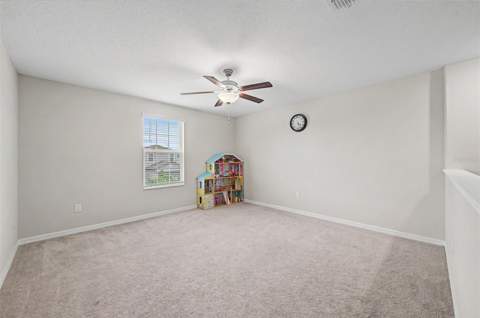 4710 Wild Senna Boulevard, Tampa FL - photo 21 of 49