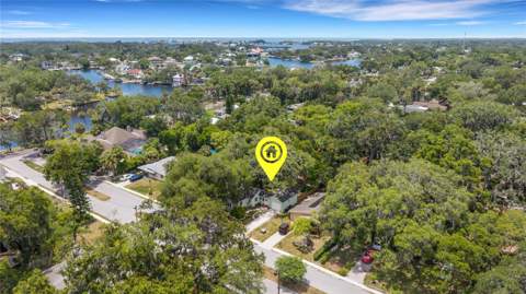 5651 Orange Grove Avenue, New Port Richey FL - photo 6 of 6