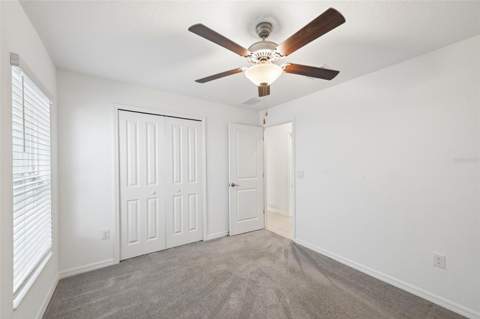 5517 Blue Azure Drive, Wimauma FL - photo 22 of 43