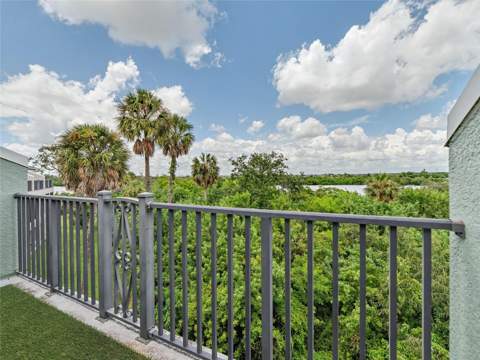 4866 Tuscan Loon Drive, Tampa FL - photo 17 of 27