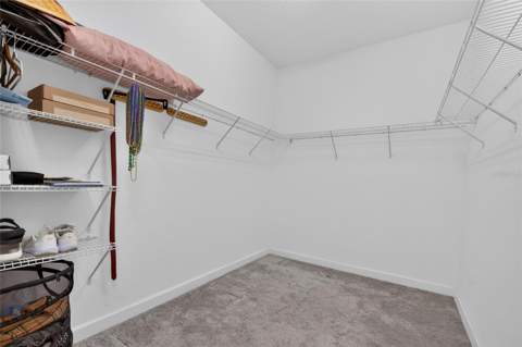 16836 Whisper Elm Street, Wimauma FL - photo 14 of 55