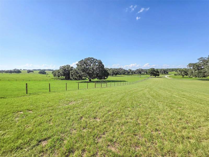3 bedroom Single Family Residence at 23220 NW 27th St, Gold Medal Farms, Morriston — photo 4