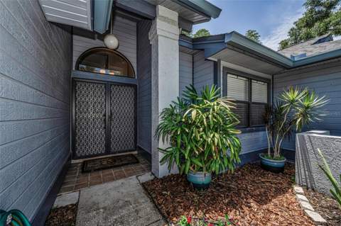 80 Summerwinds Lane, Oldsmar FL - photo 6 of 6
