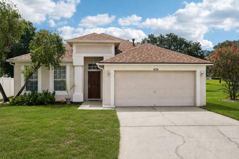 4236 Tarkington Drive, Land O Lakes FL - photo 12 of 39