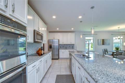 8325 Olive Brook Drive, Wesley Chapel FL - photo 11 of 39