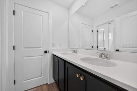 30106 Emerald Forest Drive, Mount Dora FL - photo 17 of 31