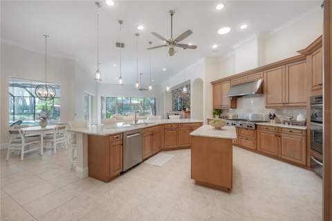 21228 Quiet Haven Court, Land O Lakes FL - photo 13 of 63
