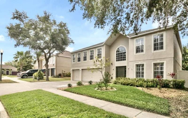 Palmetto Ridge