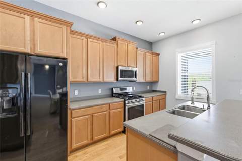 20629 Wild Plum Court, Land O Lakes FL - photo 23 of 89