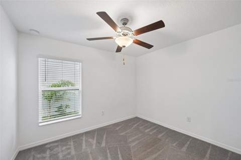 5517 Blue Azure Drive, Wimauma FL - photo 18 of 43