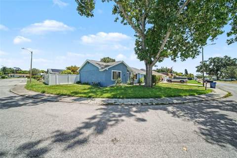 3640 Landale Drive, Holiday FL - photo 8 of 38