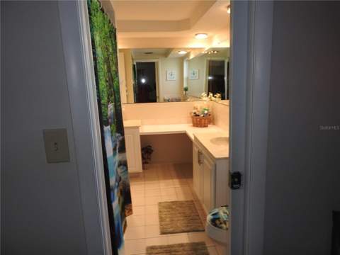 1324 Viking Drive, Holiday FL - photo 23 of 38