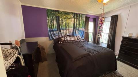 14902 NE 142nd Street, Waldo FL - photo 14 of 16