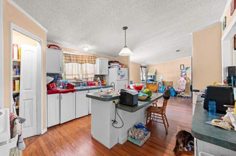 16143 Palacky Street, Brooksville FL - photo 8 of 21