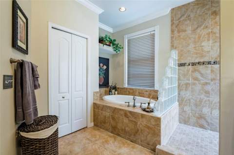22754 Magnolia Trace Boulevard, Lutz FL - photo 15 of 56