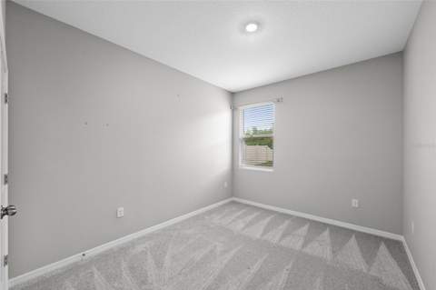 8693 Bower Bass Circle, Wesley Chapel FL - photo 13 of 28