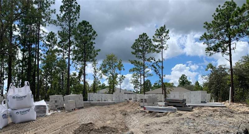 4 bedroom Single Family Residence at 547 W Homeway Loop, Citrus Springs, Citrus Springs — photo 2