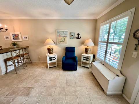 2223 Philippine Drive #9, Clearwater FL - photo 17 of 60