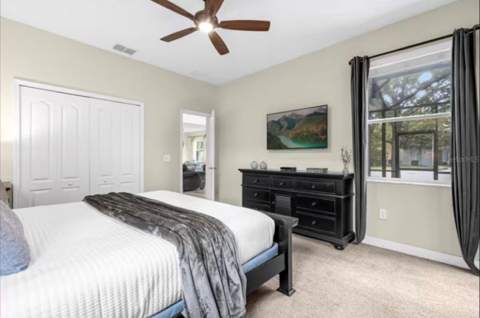 2989 Banana Palm Drive, Kissimmee FL - photo 19 of 54