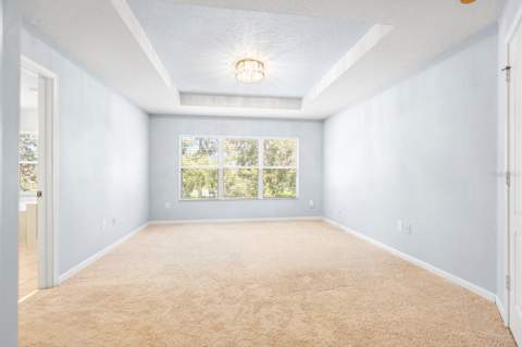 30419 Randall Manor Street, Wesley Chapel FL - photo 13 of 36