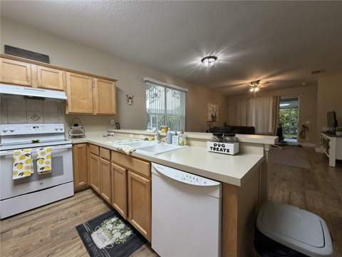 923 Bridgeway Boulevard, Orlando FL - photo 6 of 42