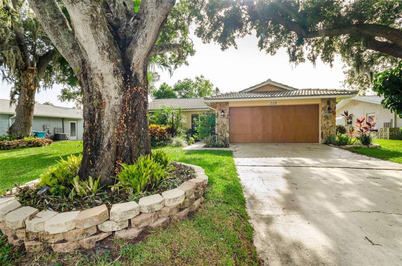3 bedroom Single Family Residence at 1529 E Dorchester Drive, Highland Lakes, Palm Harbor — photo 4
