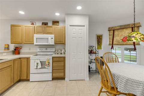 909 Eagles Landing, Leesburg FL - photo 23 of 36