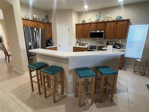 23835 Coral Ridge Lane, Land O Lakes FL - photo 8 of 37