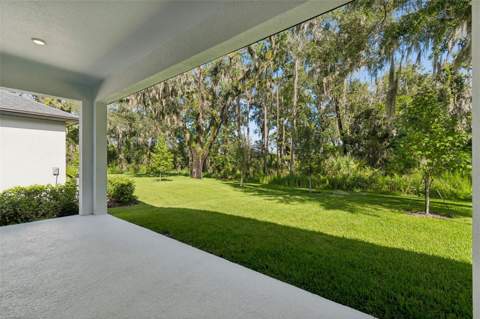 19451 Forest Garden Court, Brooksville FL - photo 14 of 17