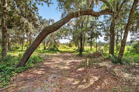 5686 E Highway 316, Citra FL - photo 23 of 40