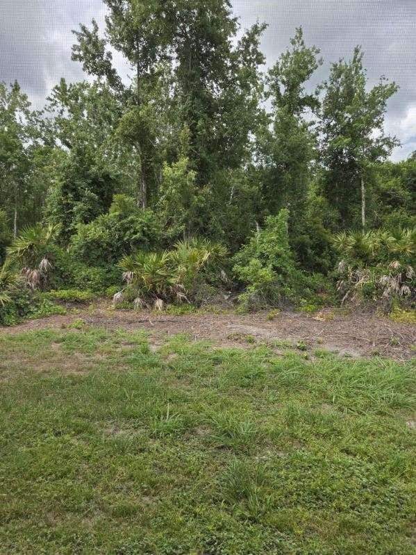 3 bedroom Single Family Residence at 9321 Huntington Parkway, Hunters Green, Tampa — photo 2