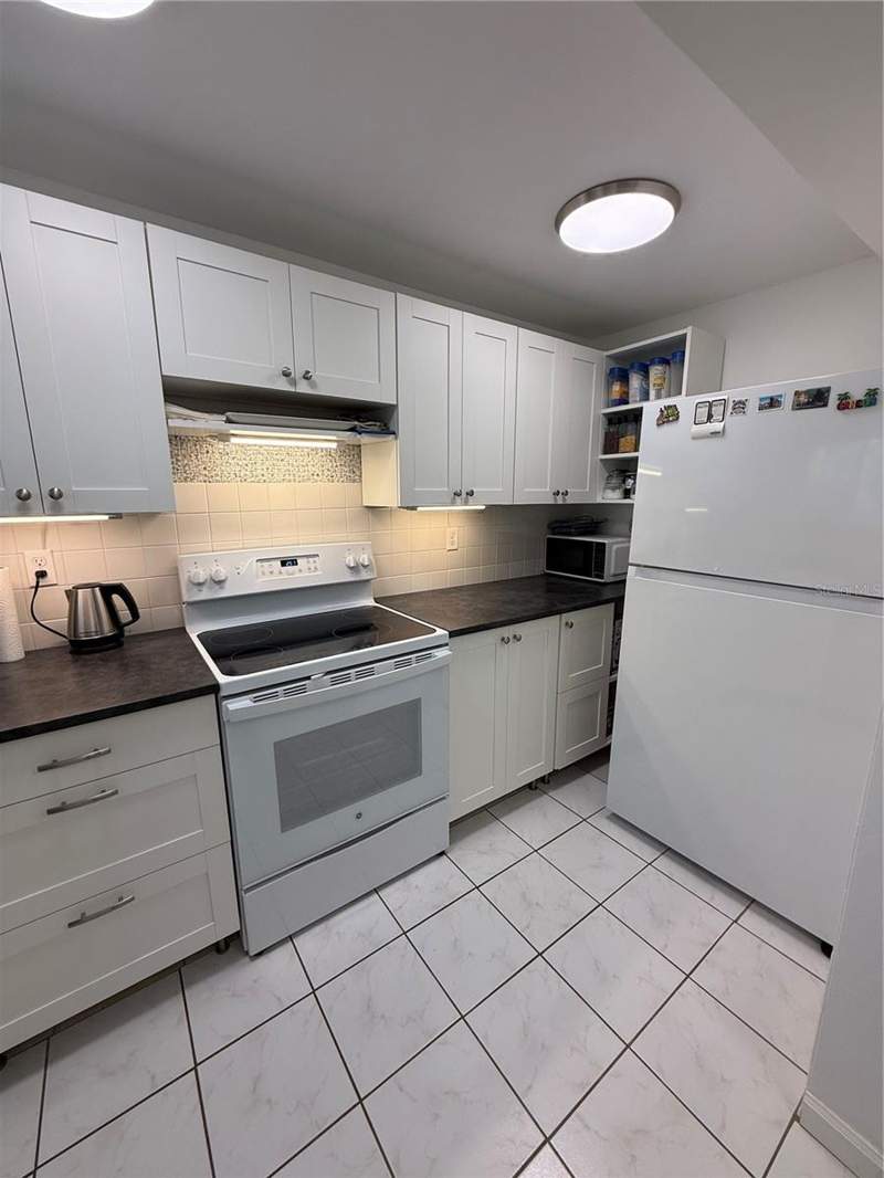 1 bedroom Condominium at 1243 S Martin Luther King Jr Avenue #C303, Sunshine Towers Apt Residences, Clearwater — photo 4