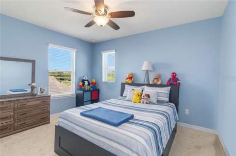 2464 White Poppy Drive, Kissimmee FL - photo 21 of 41