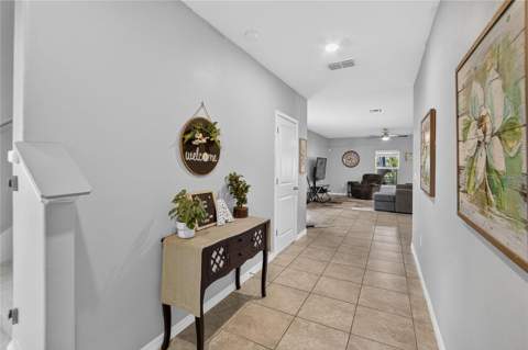 5132 Sable Chime Drive, Wimauma FL - photo 8 of 36