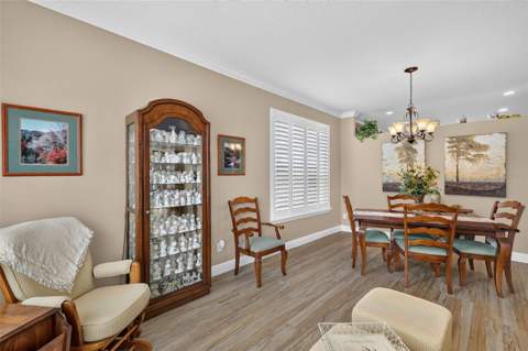 8021 Saint James Way, Mount Dora FL - photo 15 of 46