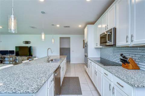8325 Olive Brook Drive, Wesley Chapel FL - photo 13 of 39