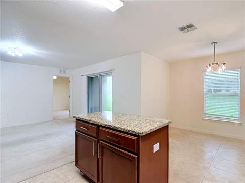 30541 Satinleaf Run, Brooksville FL - photo 15 of 54