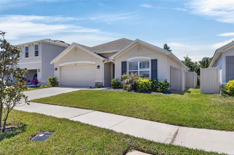 3255 Silver Date Drive, Wimauma FL - photo 6 of 80