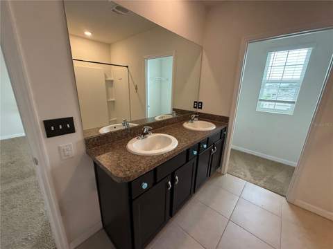 16702 Southern Oaks Trail, Parrish FL - photo 16 of 30