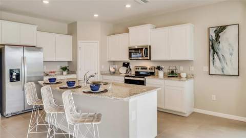 4321 Silver Birch Court, Palmetto FL - photo 13 of 40