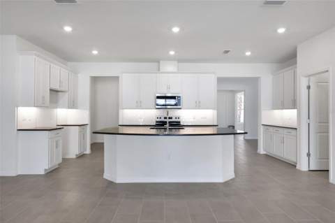 17429 Valleywood Parkway, Land O Lakes FL - photo 20 of 36