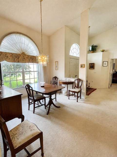 6513 Cardinal Crest Drive, New Port Richey FL - photo 7 of 46