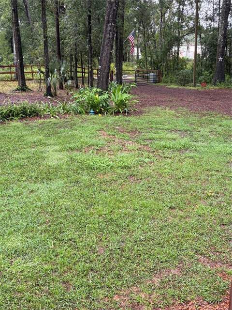 6401 Sunnyside Ranch Road, Brooksville FL - photo 22 of 80