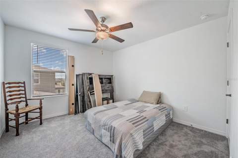2515 Victorious Falls Avenue, Plant City FL - photo 19 of 34